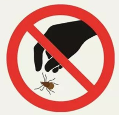 不可手拉蜱虫.png 不可手拉蜱虫.png