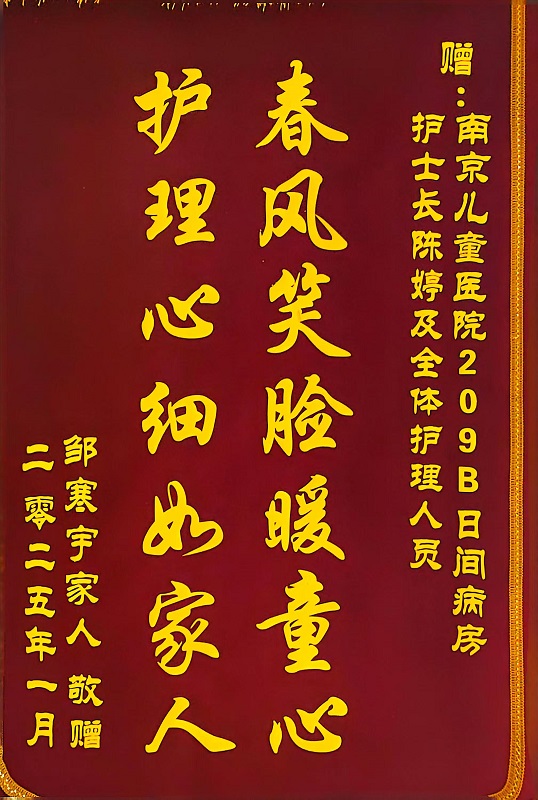 锦旗2501-河西日间209B陈婷及全体医护人员.jpg